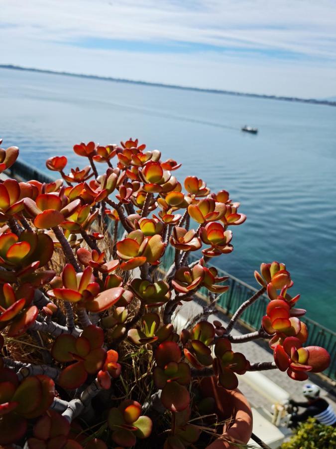 La Finestra Sul Mare Di Alfeo Apartamento Syracuse Exterior foto